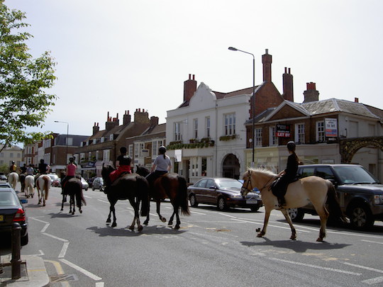 The horses from Wimbledon Village Stables passing through Wimbledon Village