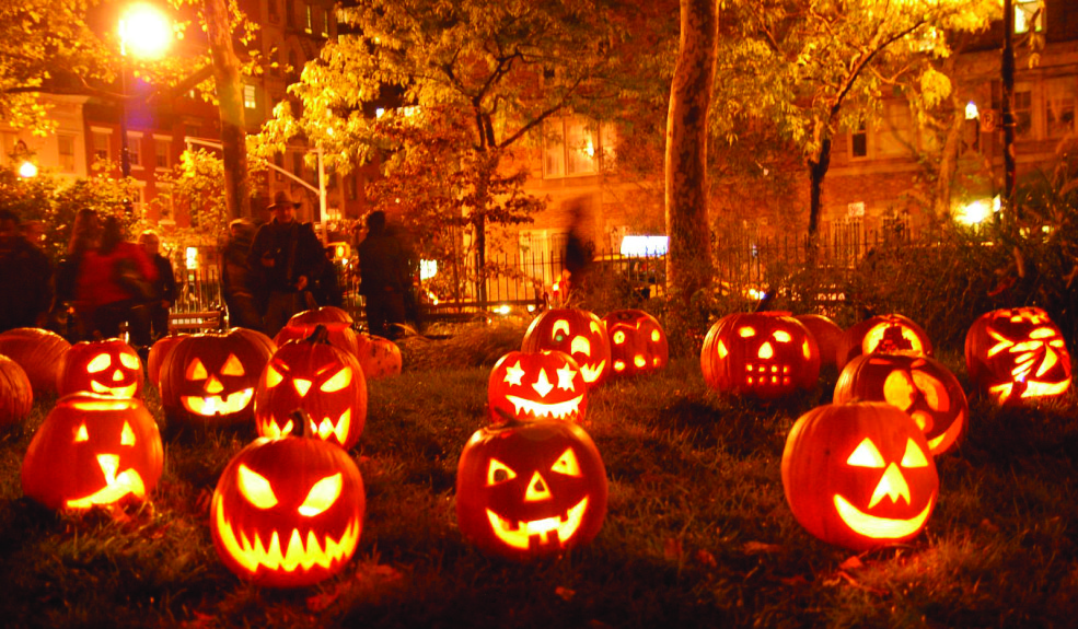 pumpkins-985x575