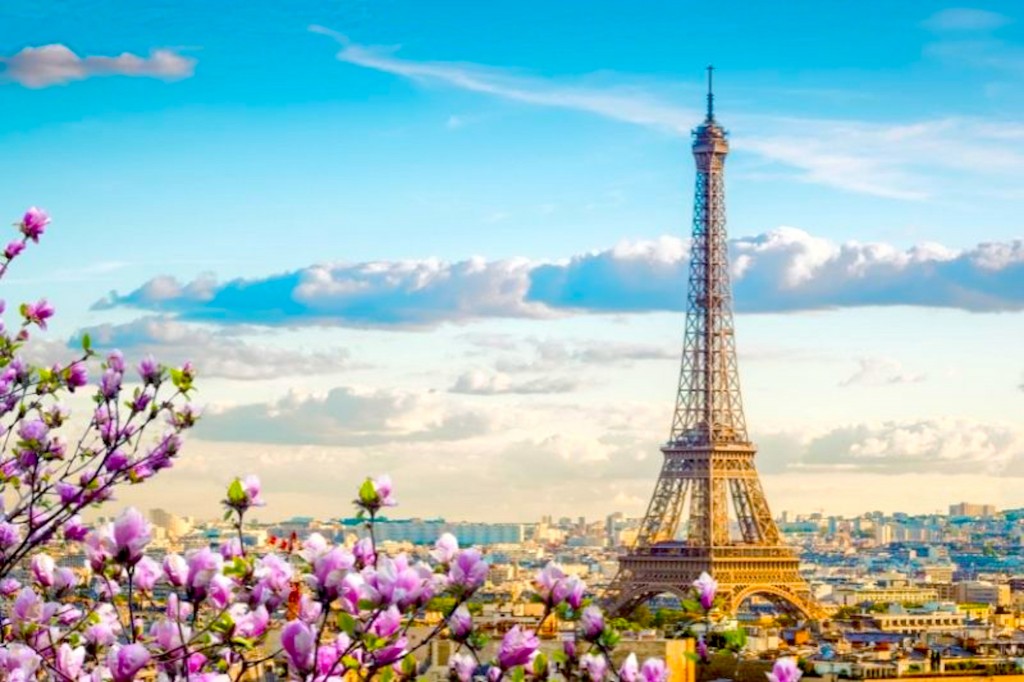 The Cherry Blossoms: Spring time in Paris 