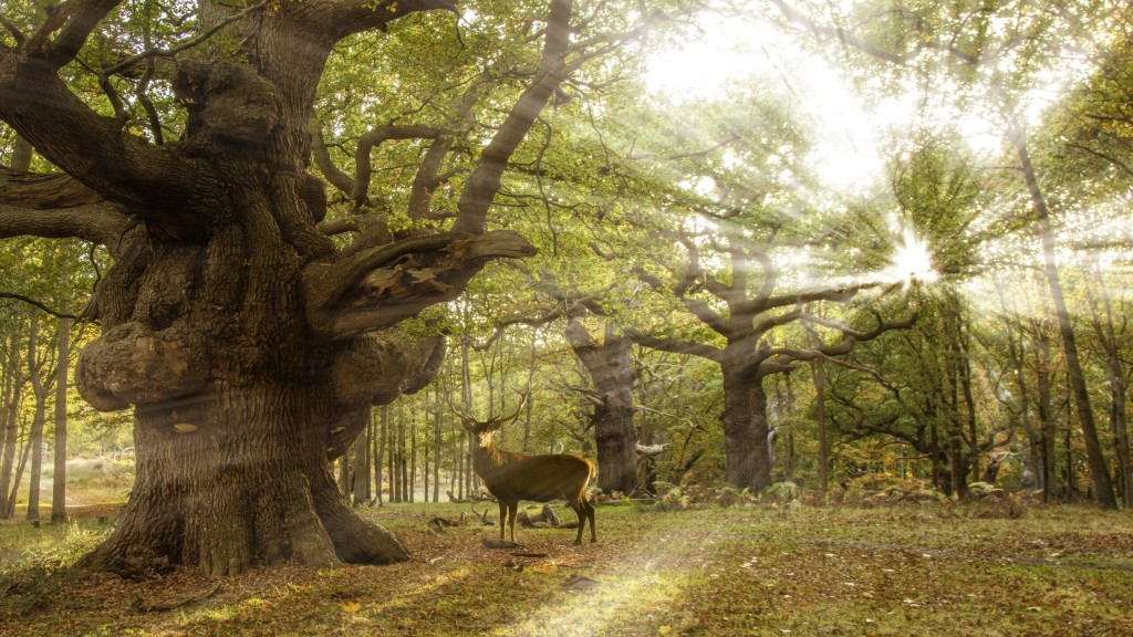 Feel the fresh breeze of the air brought by the nature