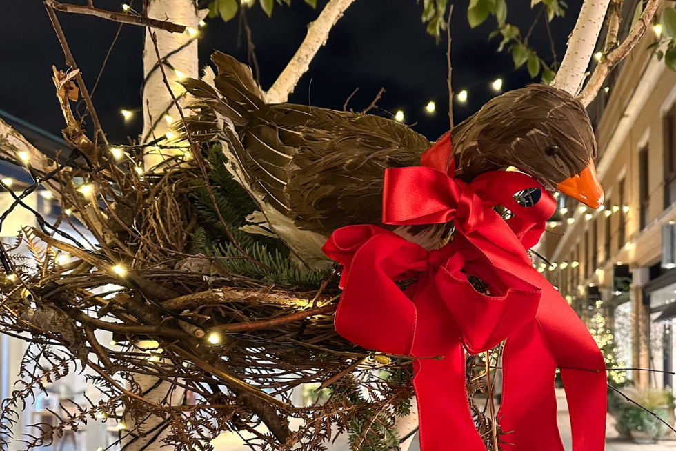 Holiday magic in Chelsea — a partridge in a pear tree comes to life among the lights and decorations.