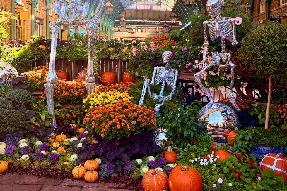 A family of skeletons decorating London's famous Covent Garden